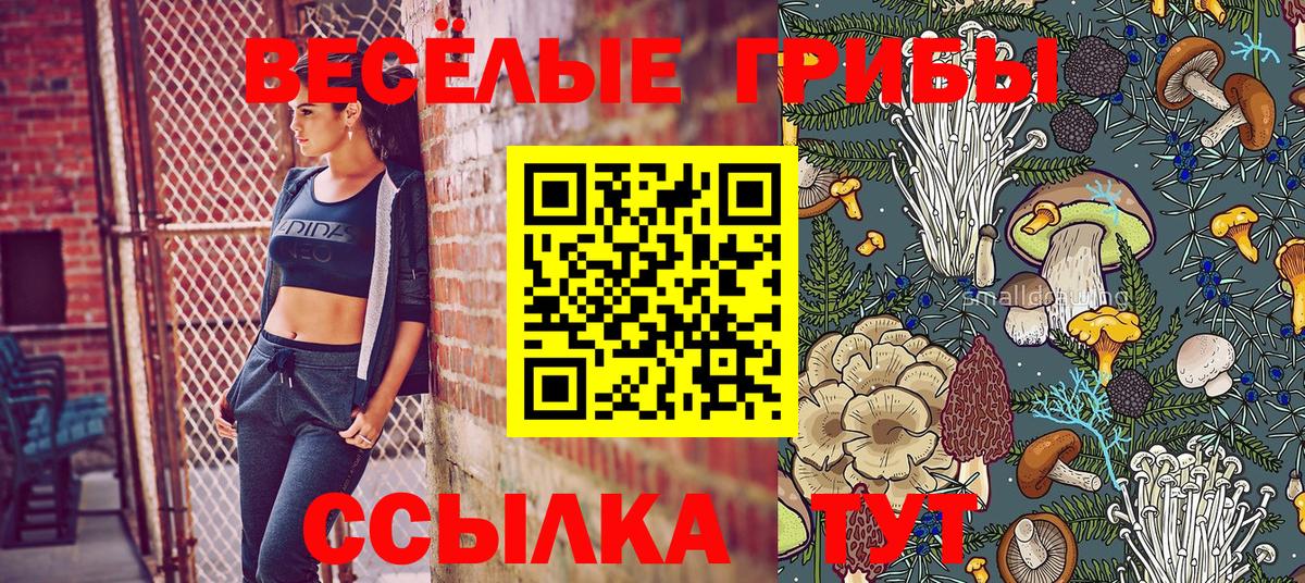 Псилоцибиновые грибы Magic Shrooms Одинцово