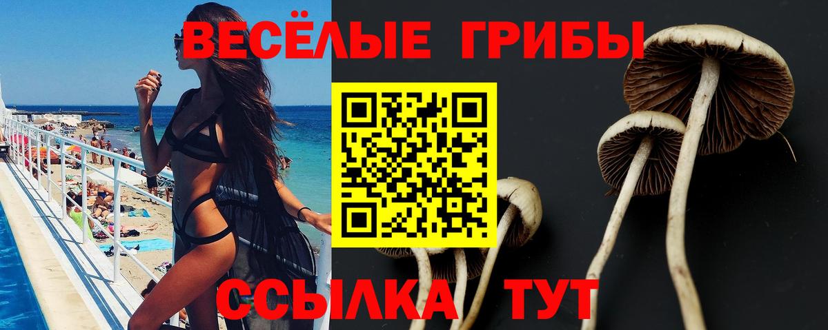 Псилоцибиновые грибы MAGIC MUSHROOMS  Вход с VPN  Галлюциногенные грибы GOLDEN TEACHER  Одинцово 